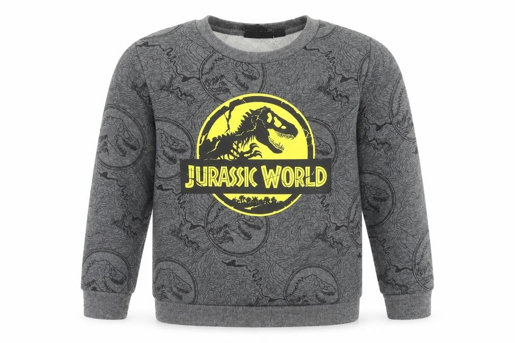 Front view of Jurassic World boys’ grey sweatshirt 4-5 years pullover