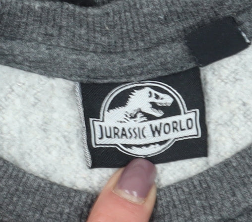 Jurassic World Boys Grey Sweatshirt 4-5 Years Pullover