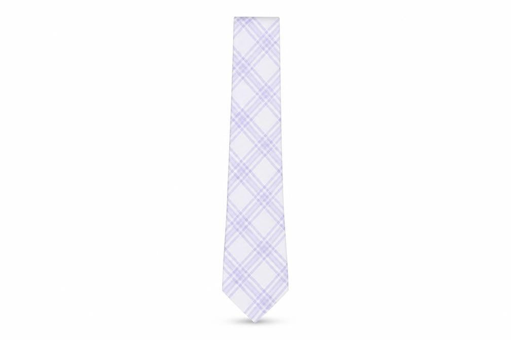 Berwin & Berwin Men's Silk Plaid Tie - Excellent Condition