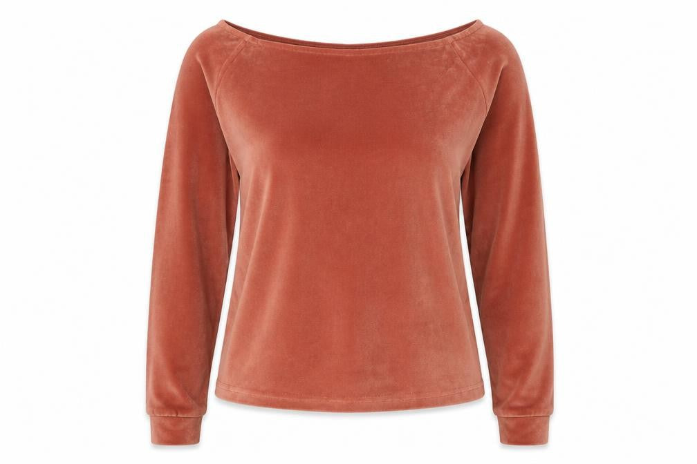 ASOS Women's Brown Velvet Long Sleeve T-Shirt Size 10