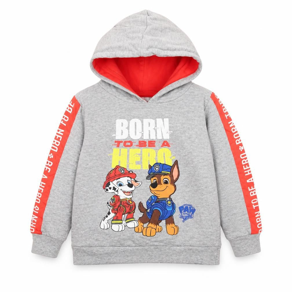 Nickelodeon Boys Grey PAW Patrol Hoodie 2-3 Years Pullover