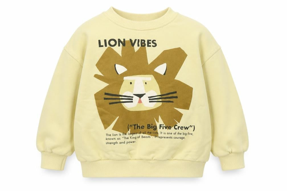 Zara Boys Beige Graphic Print Sweatshirt 2-3 Years Pullover