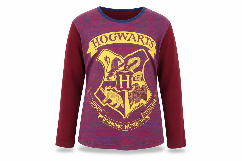 Front view of Harry Potter girls’ multicoloured long sleeve t-shirt 9-10y