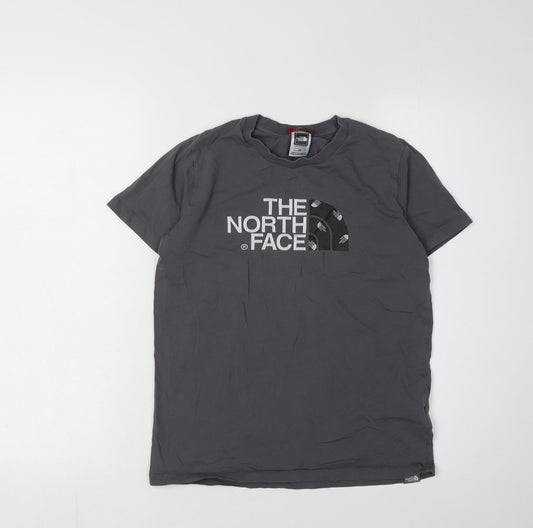 The North Face Boys Grey L Short Sleeve Logo T-Shirt