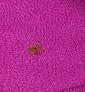 Craghoppers Women's Pink 1/2 Zip Fleece Sweatshirt Size 20