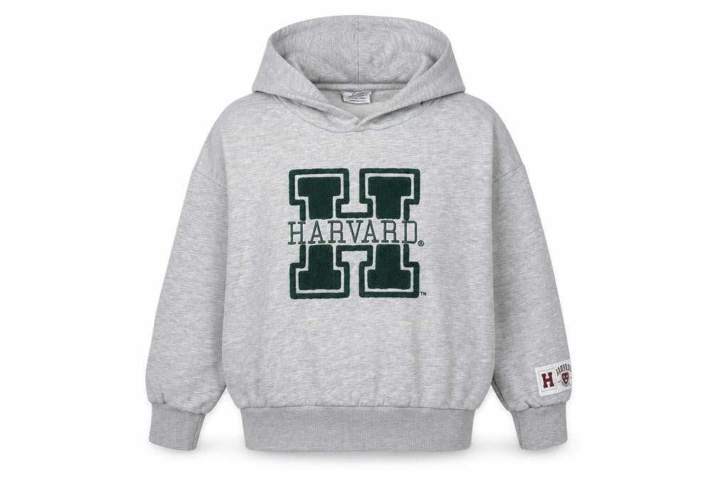 Front view of Harvard girls’ grey hoodie, 8-9 years, college pullover