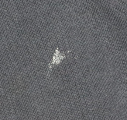 Champion Boys Blue Hoodie, 14 Years, Pullover, Logo Accents