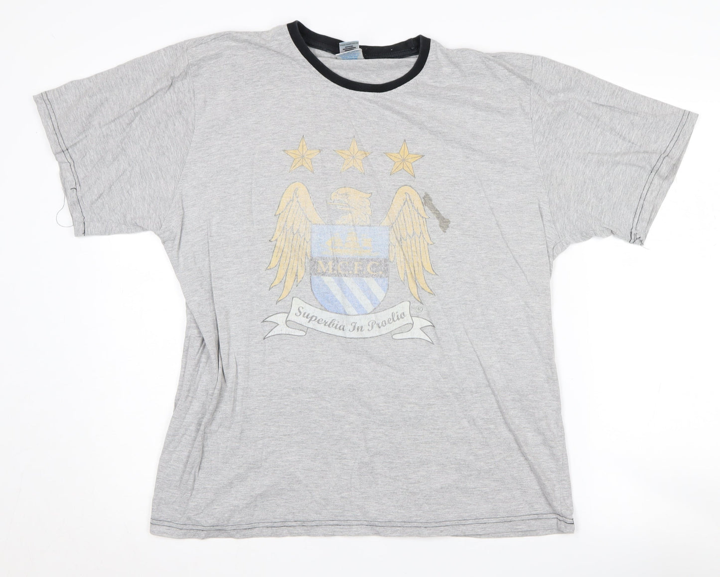 City Grey Logo Men's Large T-Shirt