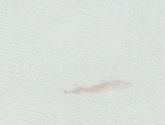 Disney Women’s Green Pullover Sweatshirt - Size 12