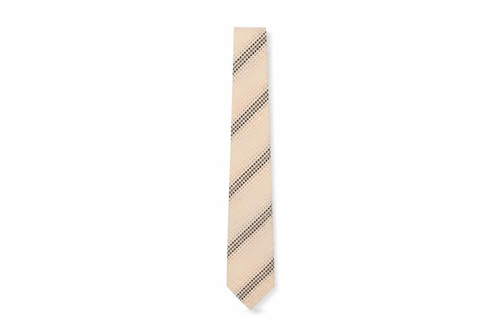 Frangi Men's Beige Polka Dot Silk Tie