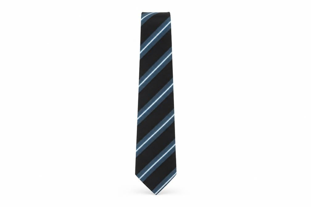 Thomas Nash Men's Black Blue Striped Silk Tie