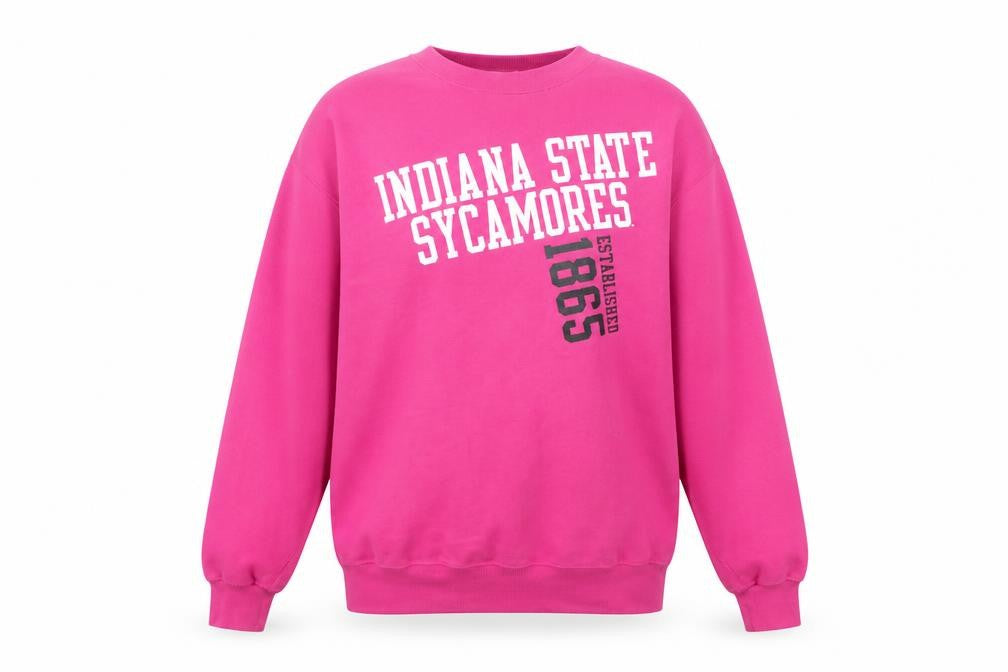 Unisex Adults UK M Regular Champion Pink  Sweatshirt