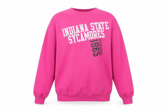 Unisex Adults UK M Regular Champion Pink  Sweatshirt