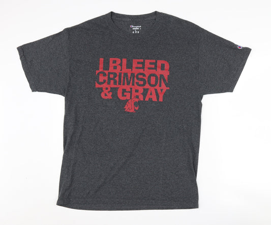 Champion Men's Grey College Graphic T-Shirt Size L