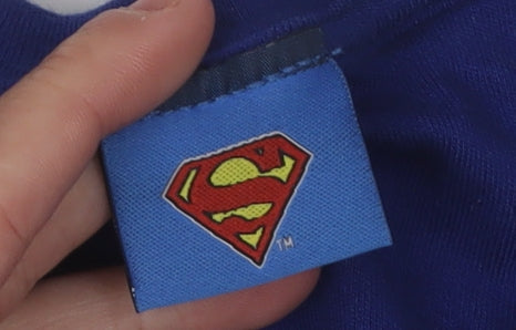 Superman Unisex Adults Blue T-Shirt L Comic Casual