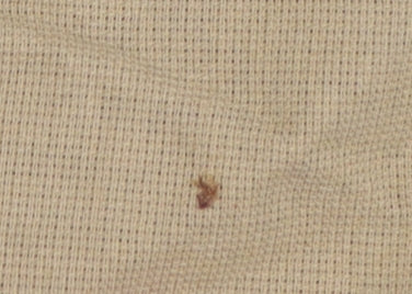 Ralph Lauren Women's Beige Button-Up Shirt Size 4