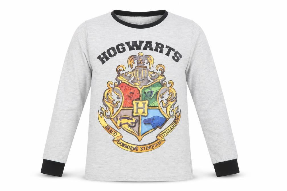Harry Potter Boys Grey Hogwarts Long Sleeve T-Shirt, 9-10 Years