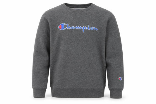 Champion Boys Grey Pullover Sweatshirt L Logo Print Casual