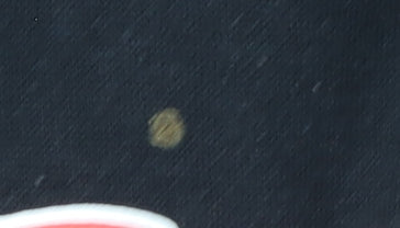 Disney Women’s Black Hoodie - L - Mickey Mouse Graphic