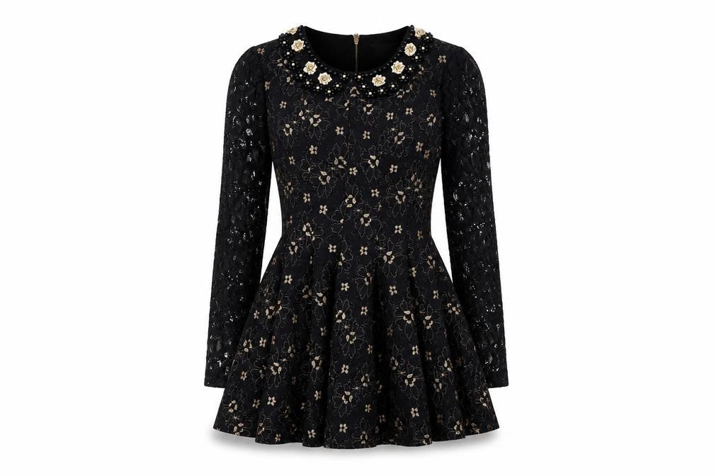 Darcy Women's Black XS Fit & Flare Floral Lace Dress