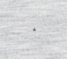 Hugo Boss Men's Grey Logo T-Shirt, Size S