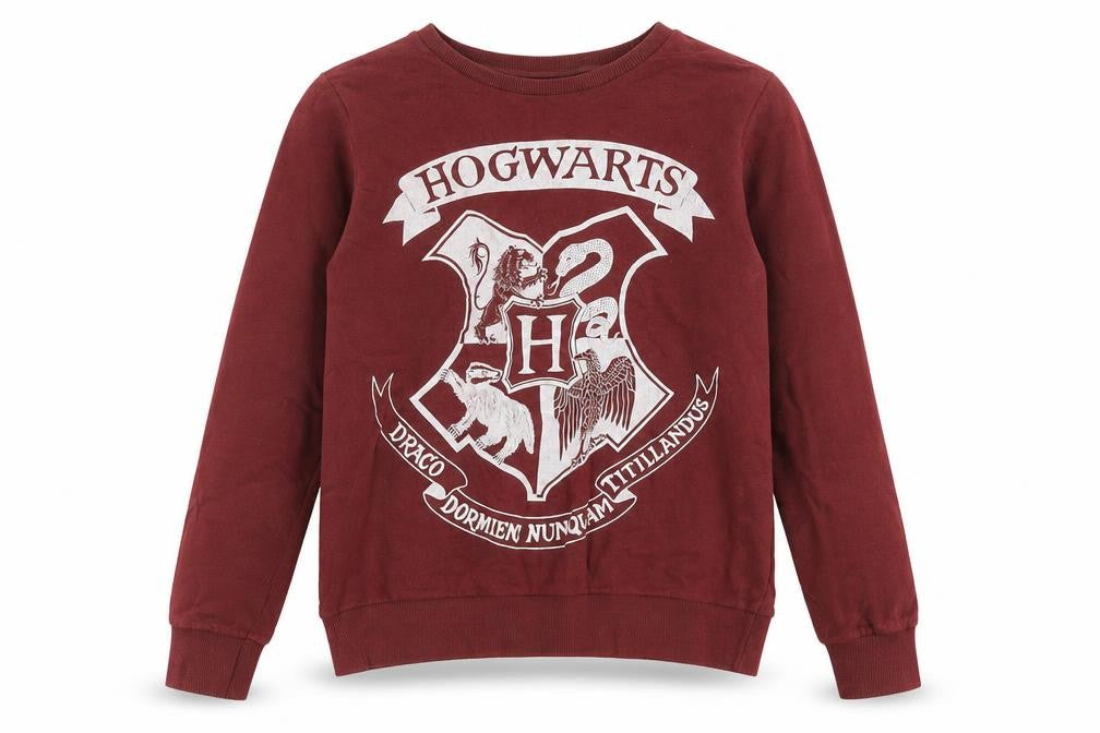 Womens UK 10 Regular Harry Potter Red Pullover Sweatshirt