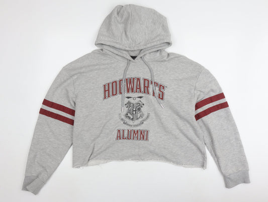 Harry Potter Unisex Grey 2XL Pullover Hoodie