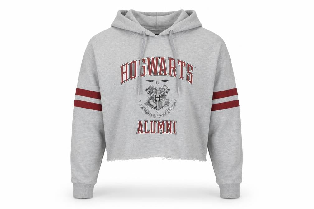 Unisex Adults UK 2XL Relaxed Harry Potter Grey Pullover Hoodie