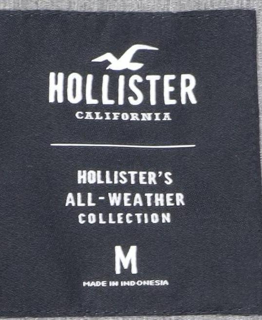 Hollister Men's Grey Parka Jacket M Hooded Outdoor