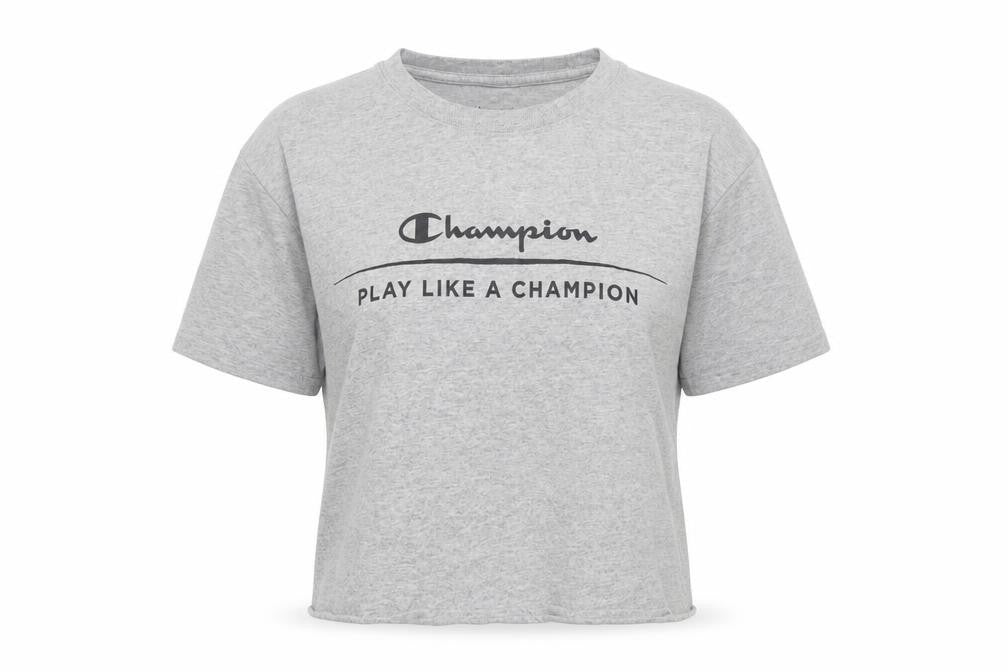 Unisex Adultss UK Size S Champion Grey Cotton T-Shirt
