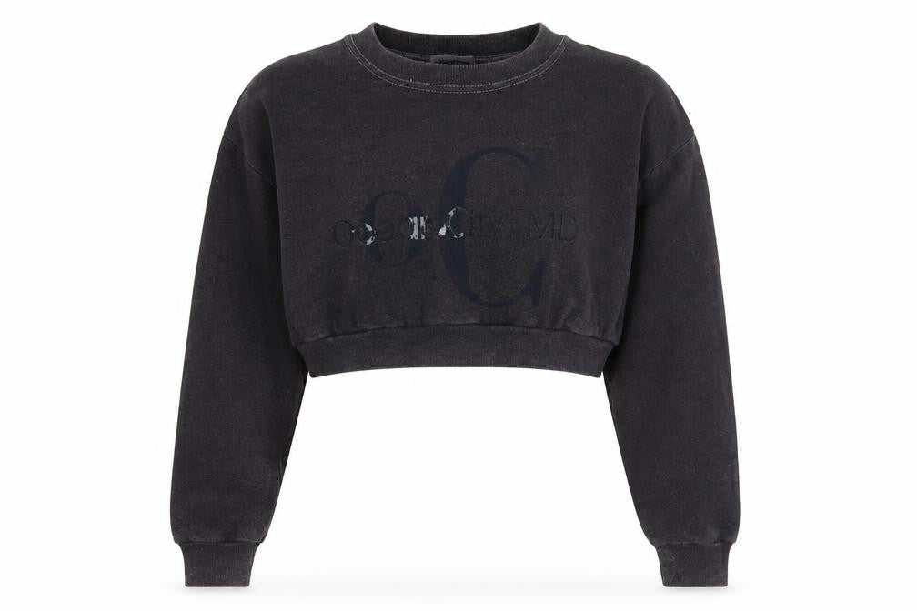 Womens UK XL Regular Lee Grey Pullover Sweatshirt