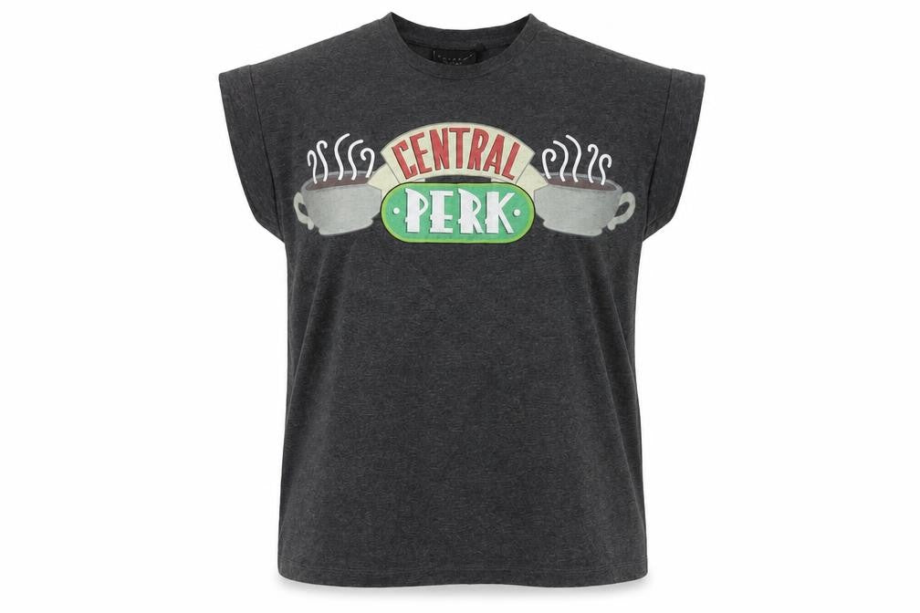 FRIENDS Unisex Grey T-Shirt Size 14 - TV Series Casual