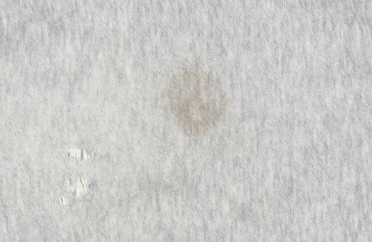 Champion Boys Grey Sweatpants, Size 12-13 Years, Regular Fit