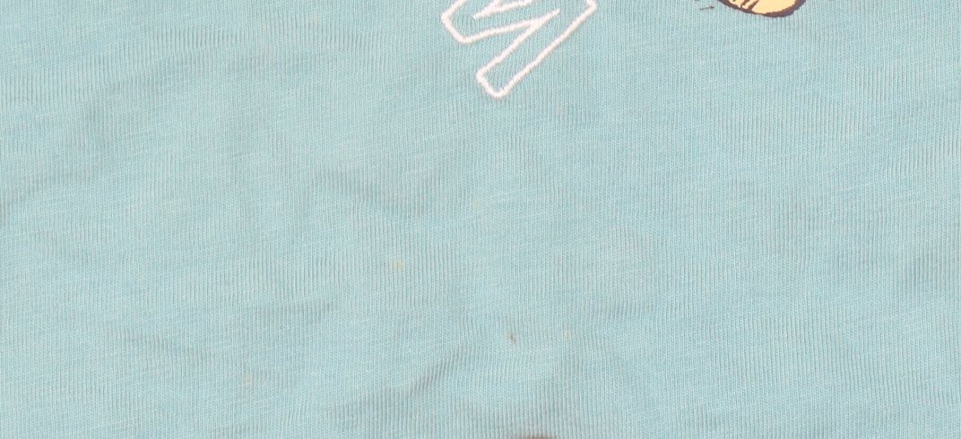 Winnie the Pooh Blue T-Shirt L Unisex Adults