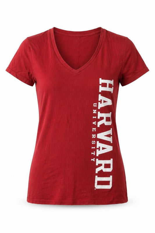 Womens UK Size M Champion Red 100% Cotton T-Shirt