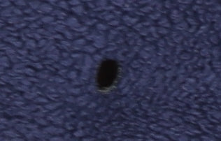 Le Coq Sportif Unisex Blue XL Hooded Fleece Jacket