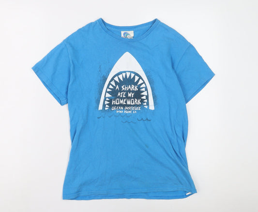 Coastal Classics Boys Blue Graphic T-Shirt Size L, Casual Summer