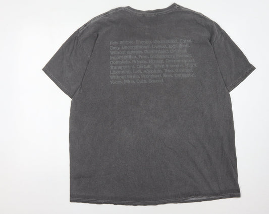Nothing Is Sacred Men's Grey Crew Neck T-Shirt L