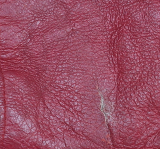 Walter Darrucci Women's Red Biker Jacket 2XS