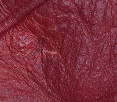 Walter Darrucci Women's Red Biker Jacket 2XS