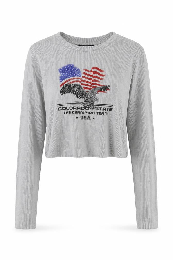 Bershka Women's Grey Cropped T-Shirt, Size 12