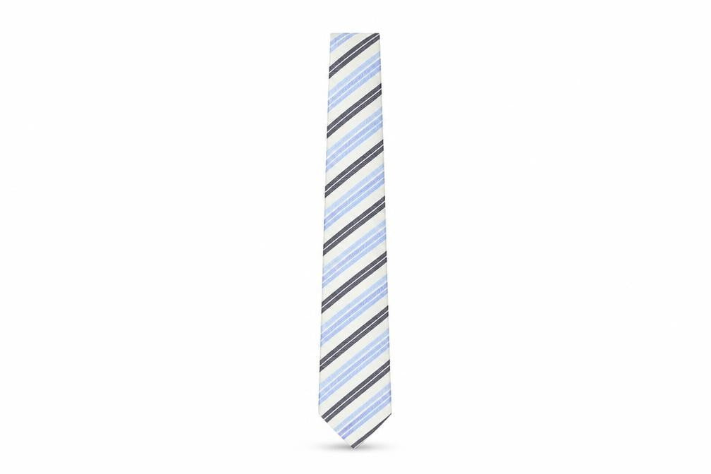 Dehavilland Men's Blue Striped Silk Tie