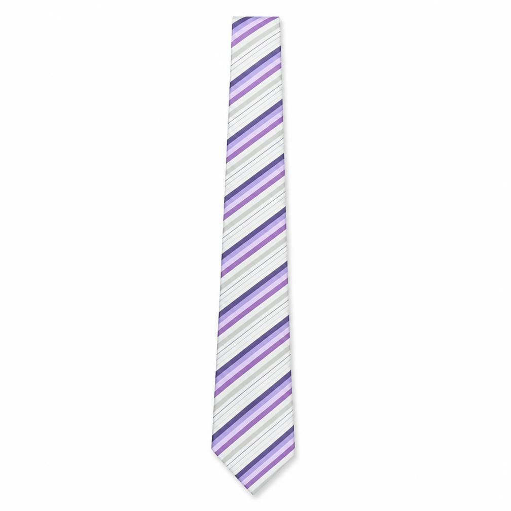 Thomas Nash Men's Purple Striped Slim Tie One Size