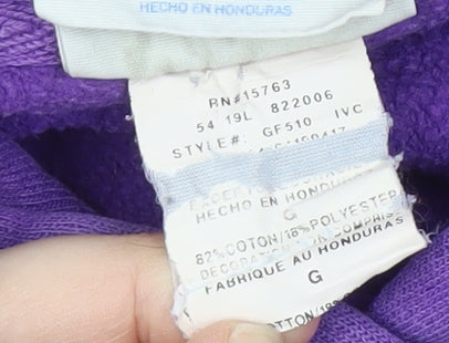 Champion Men's Purple Hoodie Large Pullover