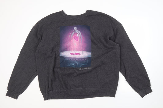 Disney Princess Women's Grey 2XL Pullover Sweatshirt