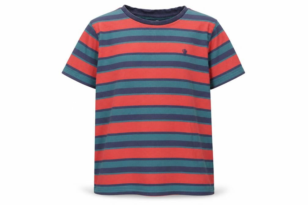FatFace Boys Multicoloured Striped T-Shirt 9-10 Years