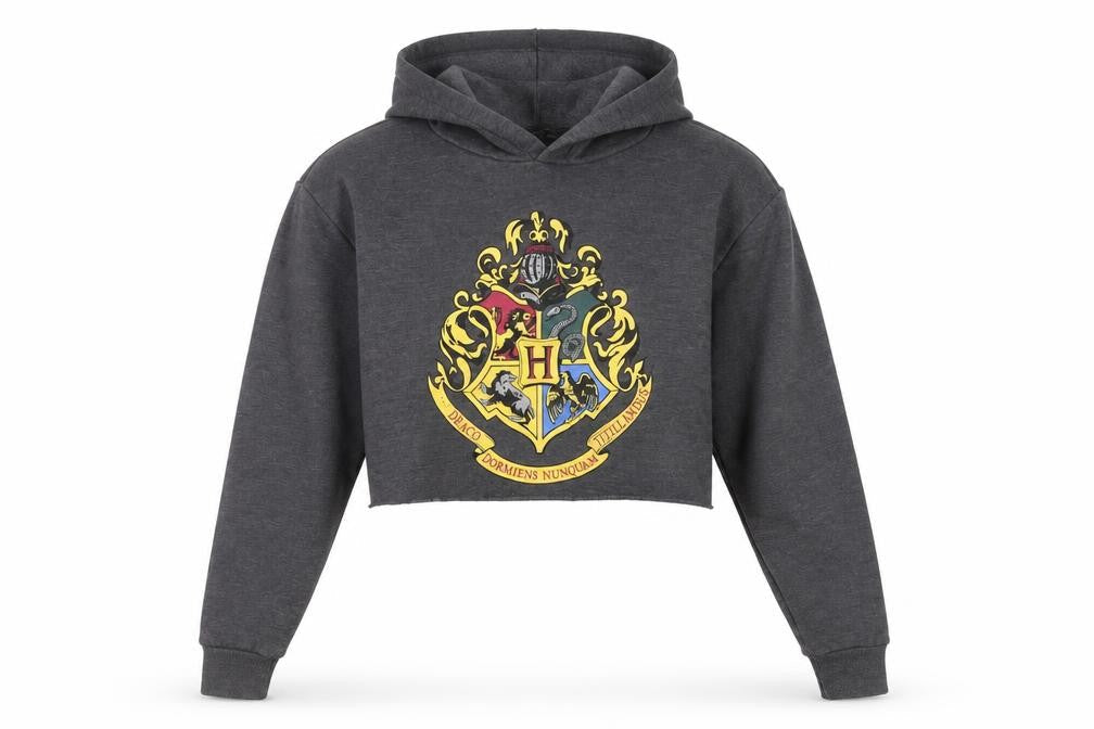 Womens UK L Regular Harry Potter Grey Pullover Hoodie