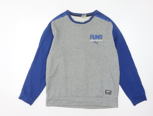 Puma Men's Grey Pullover Sweatshirt - M