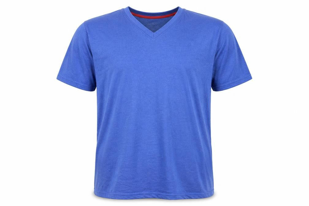 FTS Men's Blue V-Neck 2XL T-Shirt, Regular Fit, Solid