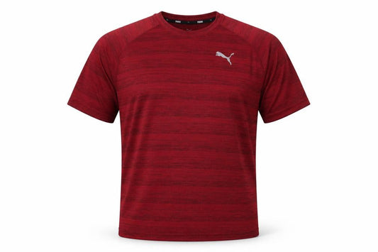 Puma Men's Red Gym & Training T-Shirt, Size S